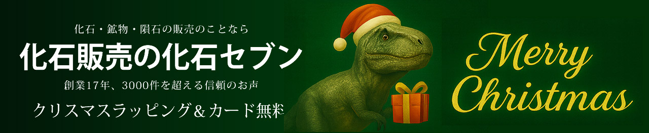 化石販売の化石セブン