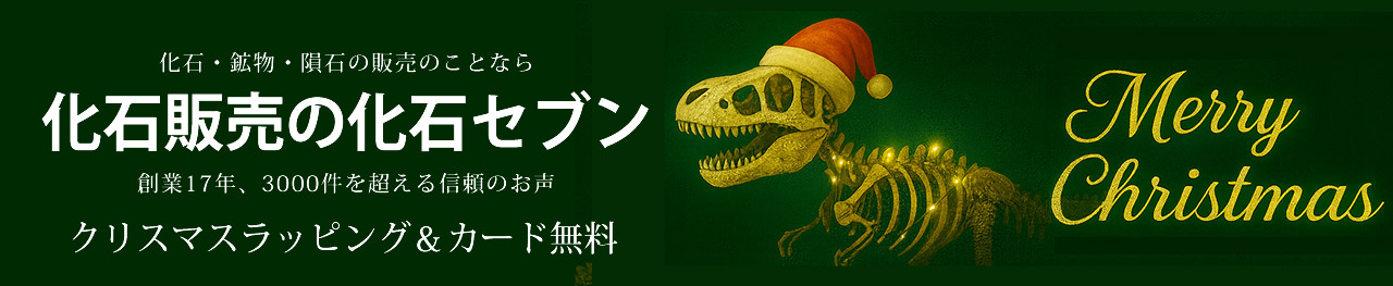 化石販売の化石セブン