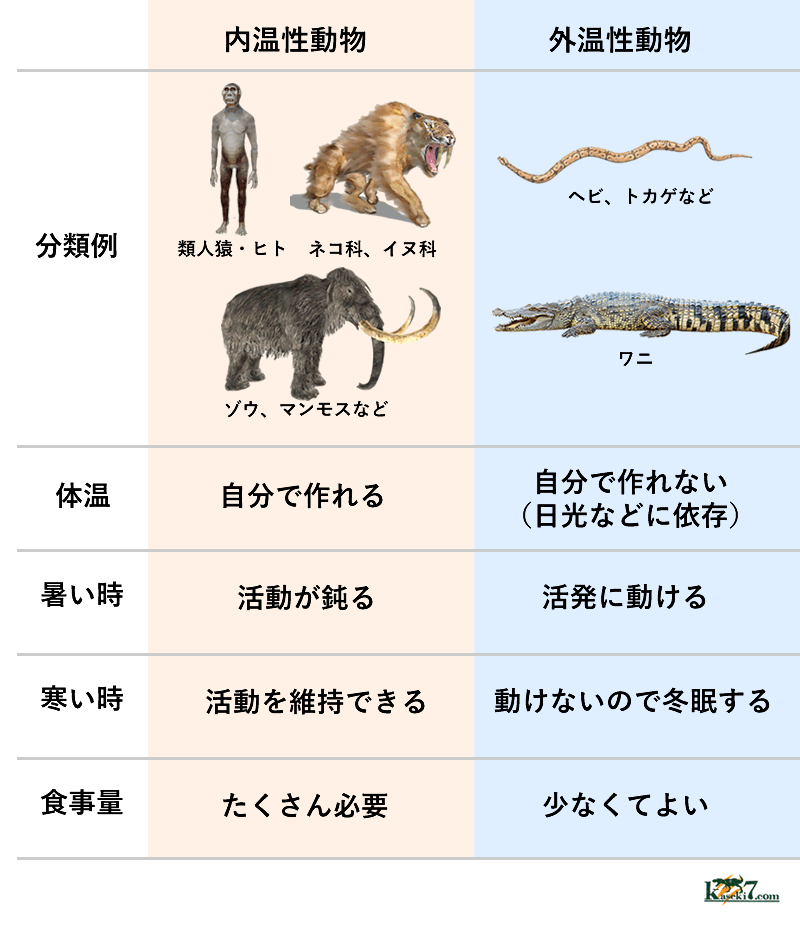 外温性動物と内温性動物