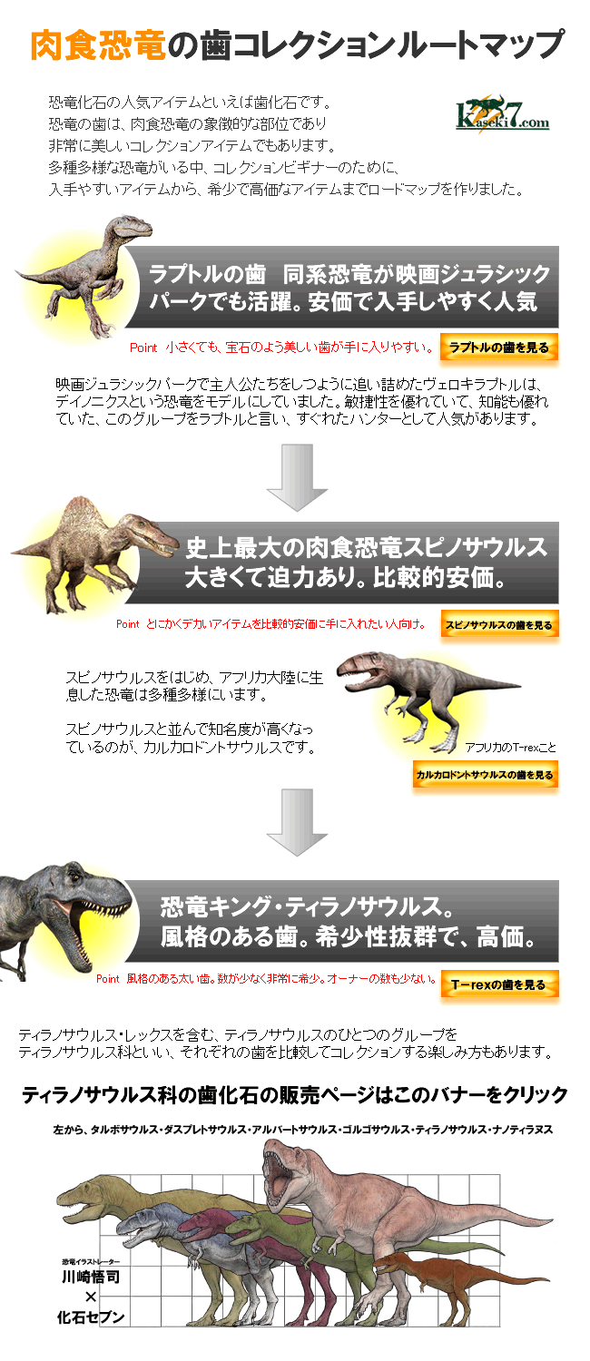 肉食恐竜コレクションマップ