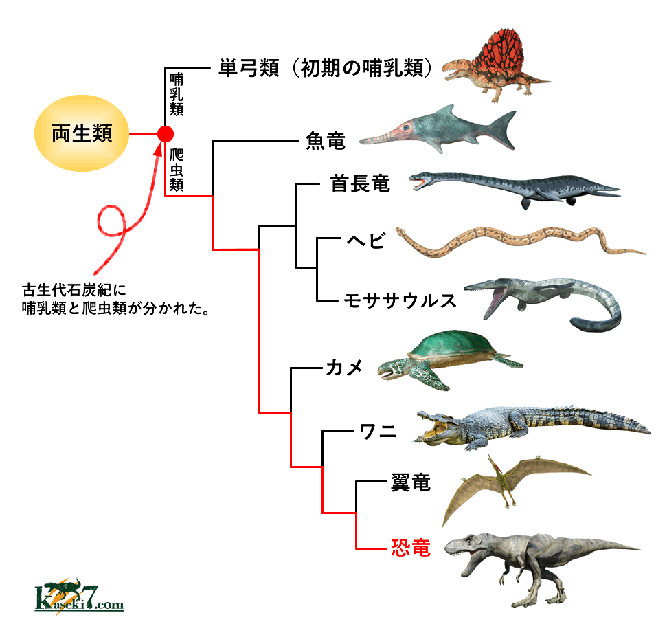 恐竜の起源