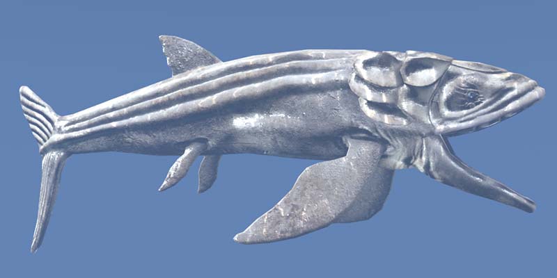 リードシクイテス