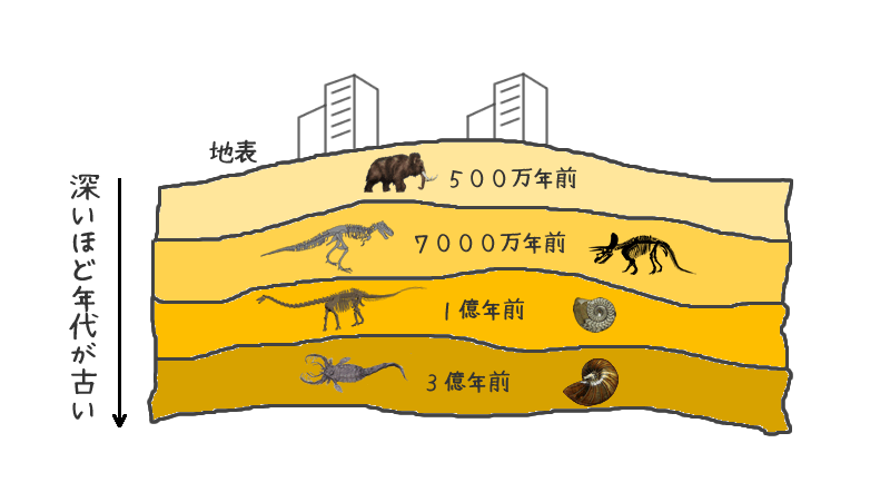 基本的に深いほど年代が古い