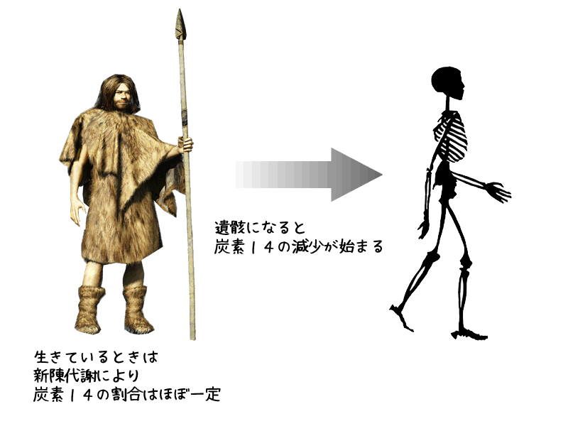 考古学資料には炭素１４年代測定法が向いている