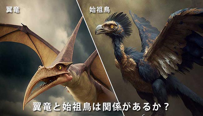 翼竜と始祖鳥の関係