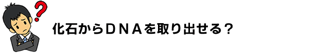 化石からＤＮＡを取り出すことは可能か？