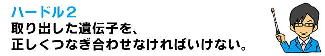 ハードル２．取り出したさまざまな遺伝子を、正しくつなぎ合わせなければいけない。