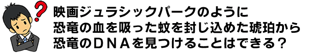 では、骨から取り出せないのであれば、映画ジュラシックパーク（１９９３）のように、琥珀のなかの蚊からＤＮＡを取り出せないか？