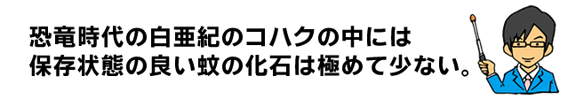 恐竜時代の白亜紀の琥珀には保存状態の良い蚊の化石はほとんどない。