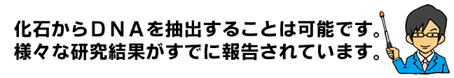 このように、化石からＤＮＡを取り出すことは可能ですし、様々な研究結果がすでに報告されています。