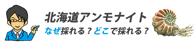 北海道でアンモナイトが採れる理由とその地域について