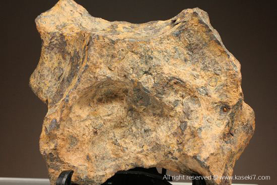 鉄隕石（iron meteorite） 画像