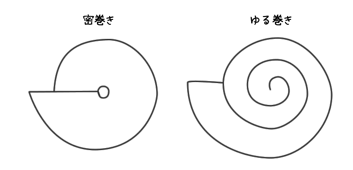 密巻きアンモナイトとゆる巻きアンモナイトの違い