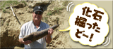化石 発掘