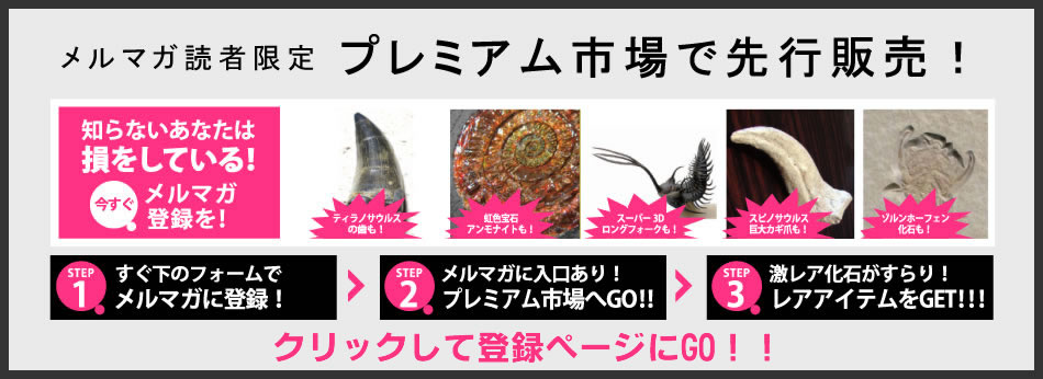 メルマガ読者限定 プレミアム市場で先行販売